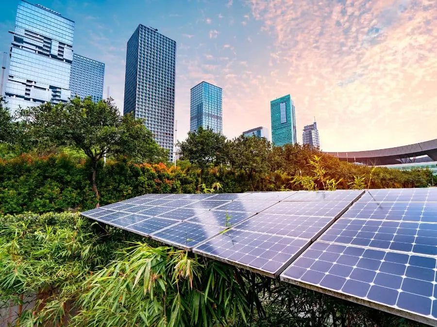 Solar panels among trees with a city skyline behind